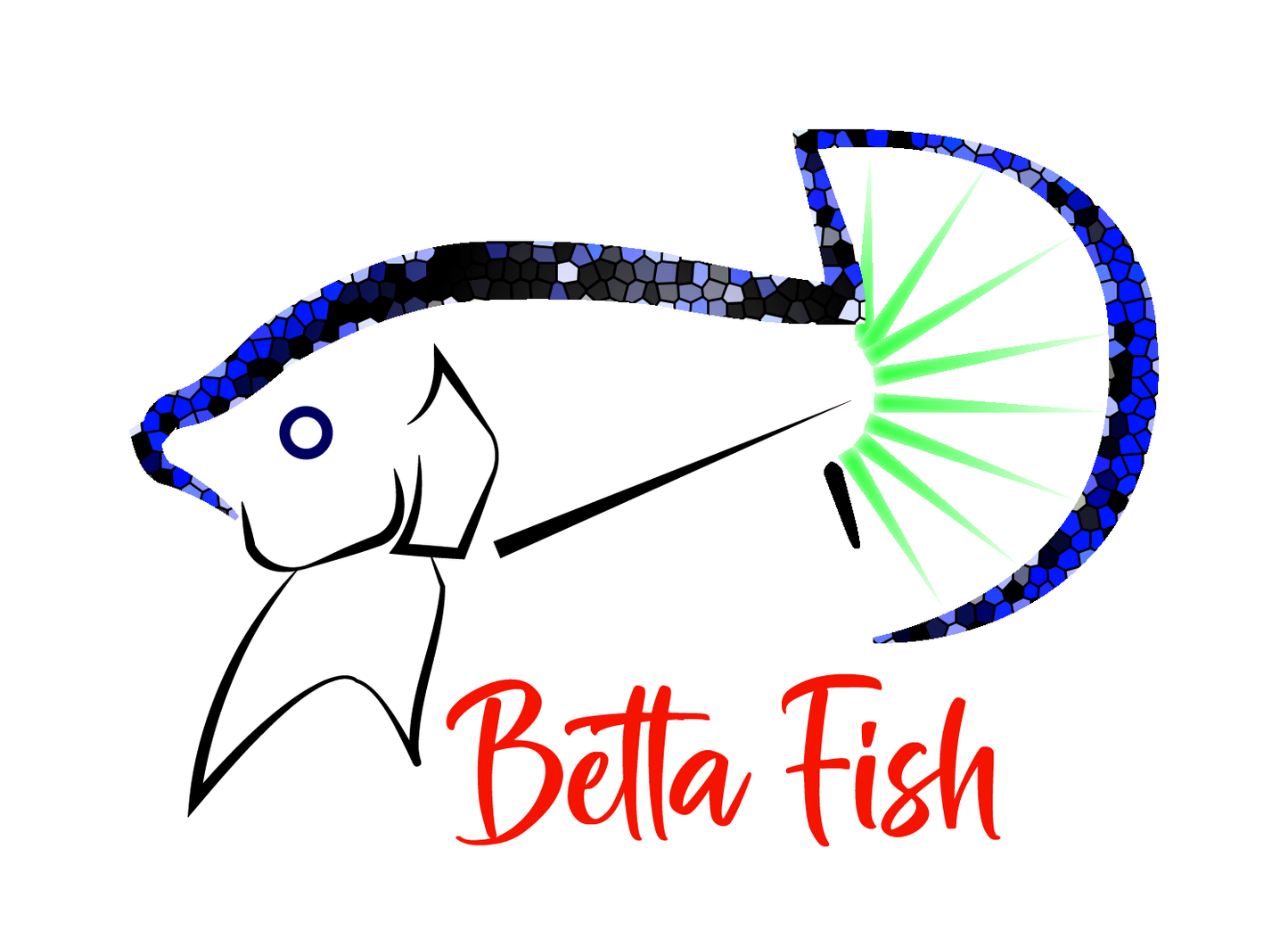 Aquarium fish tank image