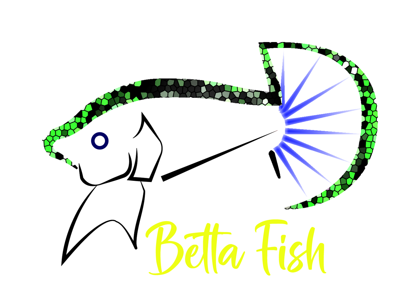 Aquarium fish tank image