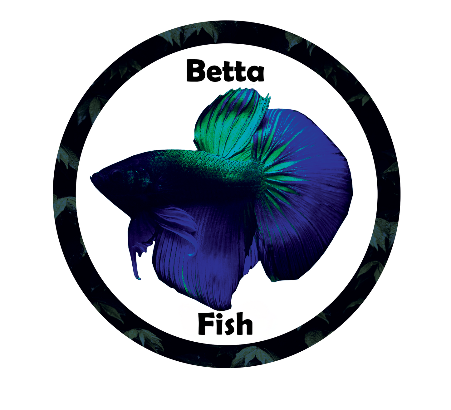 Aquarium fish tank image