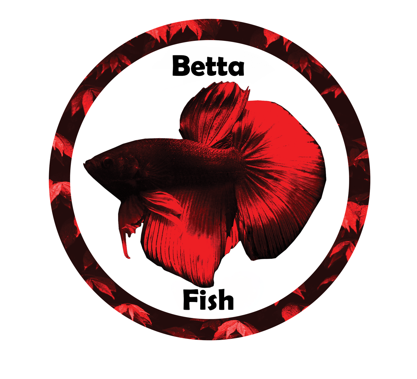 Aquarium fish tank image