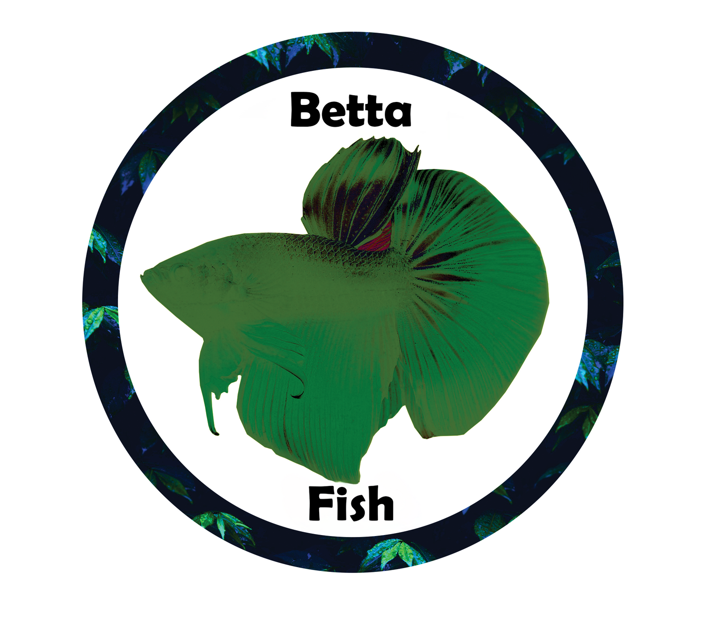 Aquarium fish tank image