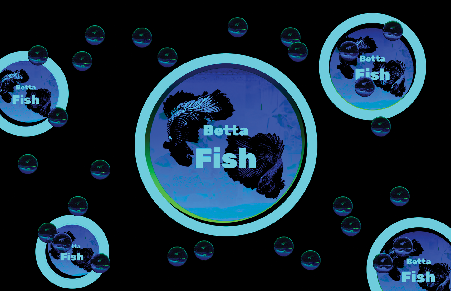 Aquarium fish tank image