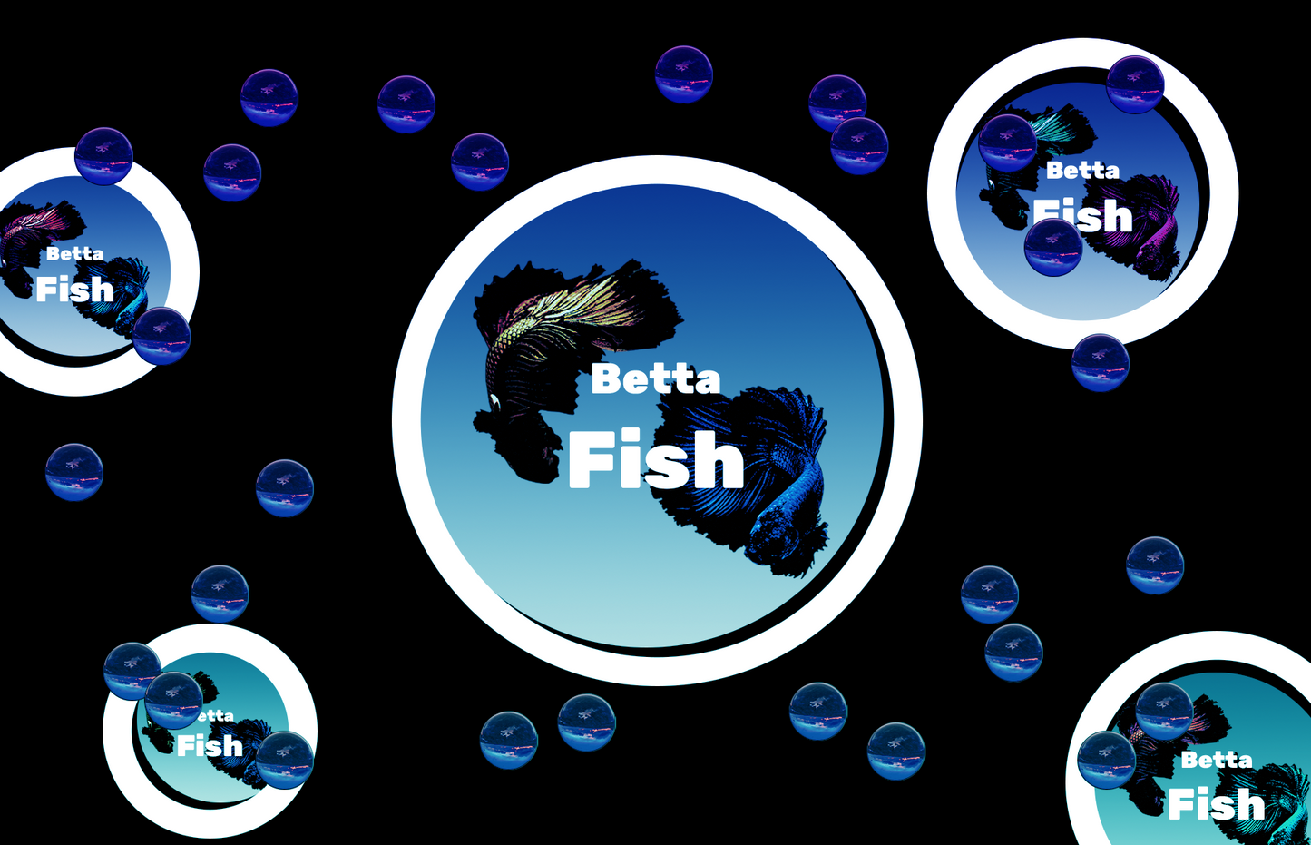 Aquarium fish tank image