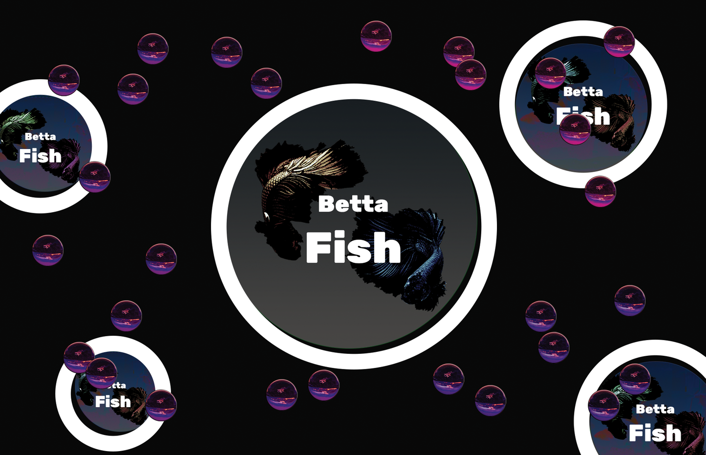 Aquarium fish tank image