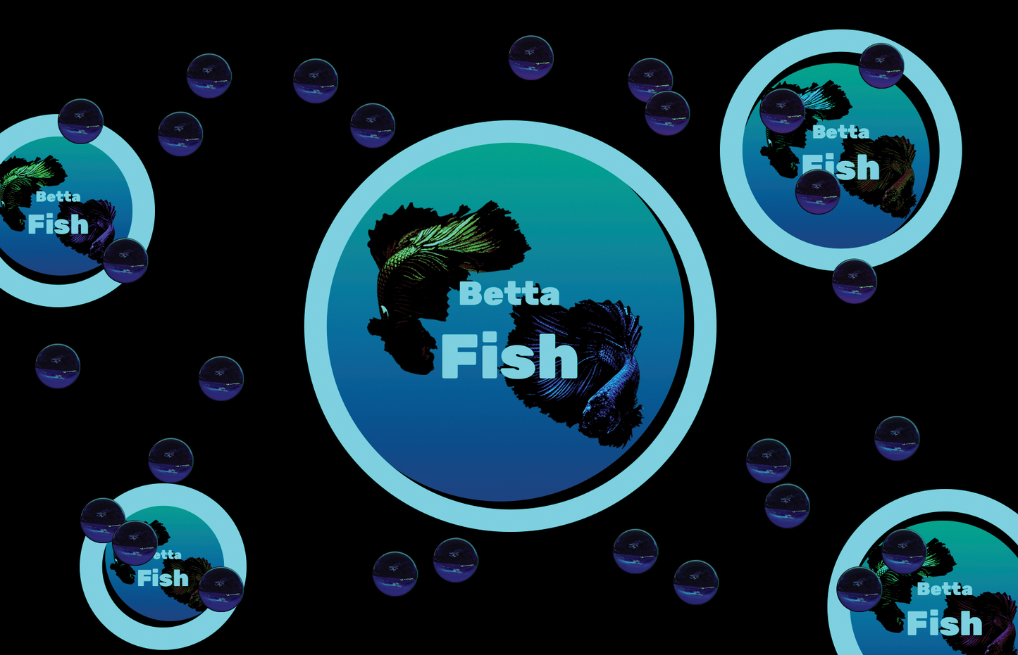 Aquarium fish tank image