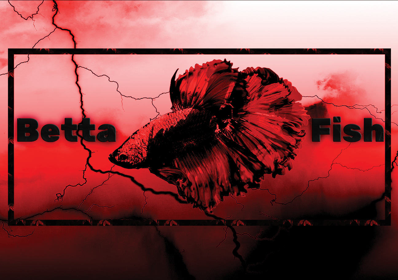 Aquarium fish tank image