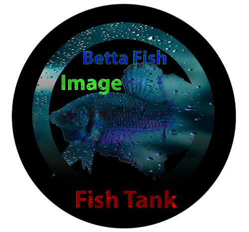 BettaFish Image FishTank